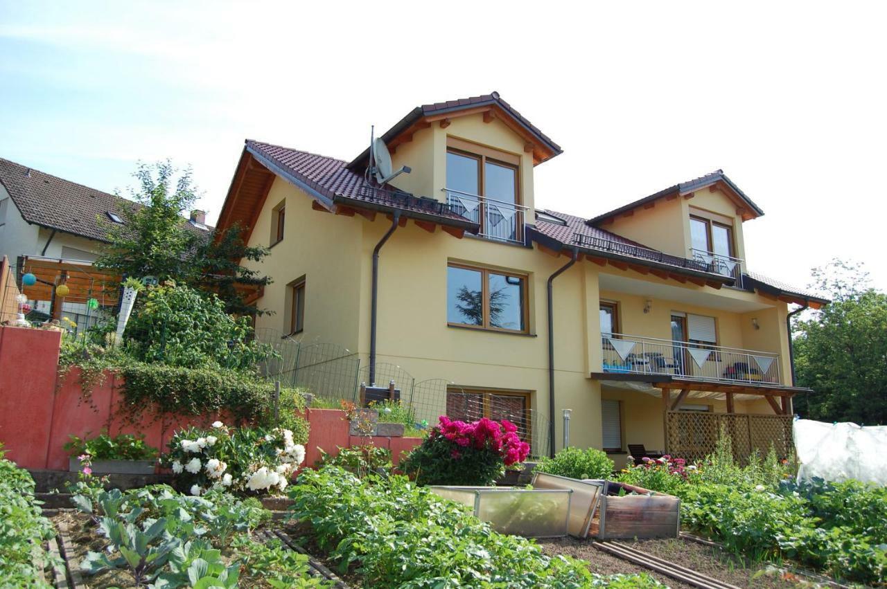 Ferienwohnung Grosso Gräfendorf المظهر الخارجي الصورة